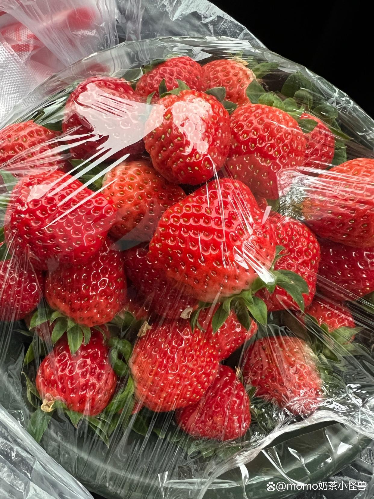 生鲜商家狂喜!新型保鲜物流箱,让草莓保鲜期延长5天 生鲜商家狂喜!新型保鲜物流箱,让草莓保鲜期延长5天