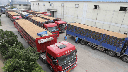 物流仓储作业效率：3个方法提升分拣速度​