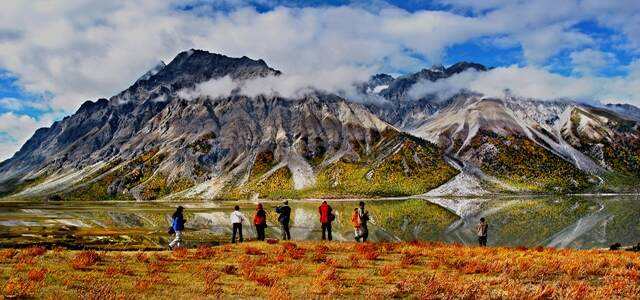 别再错过！诛仙私服发布网的隐秘宝藏